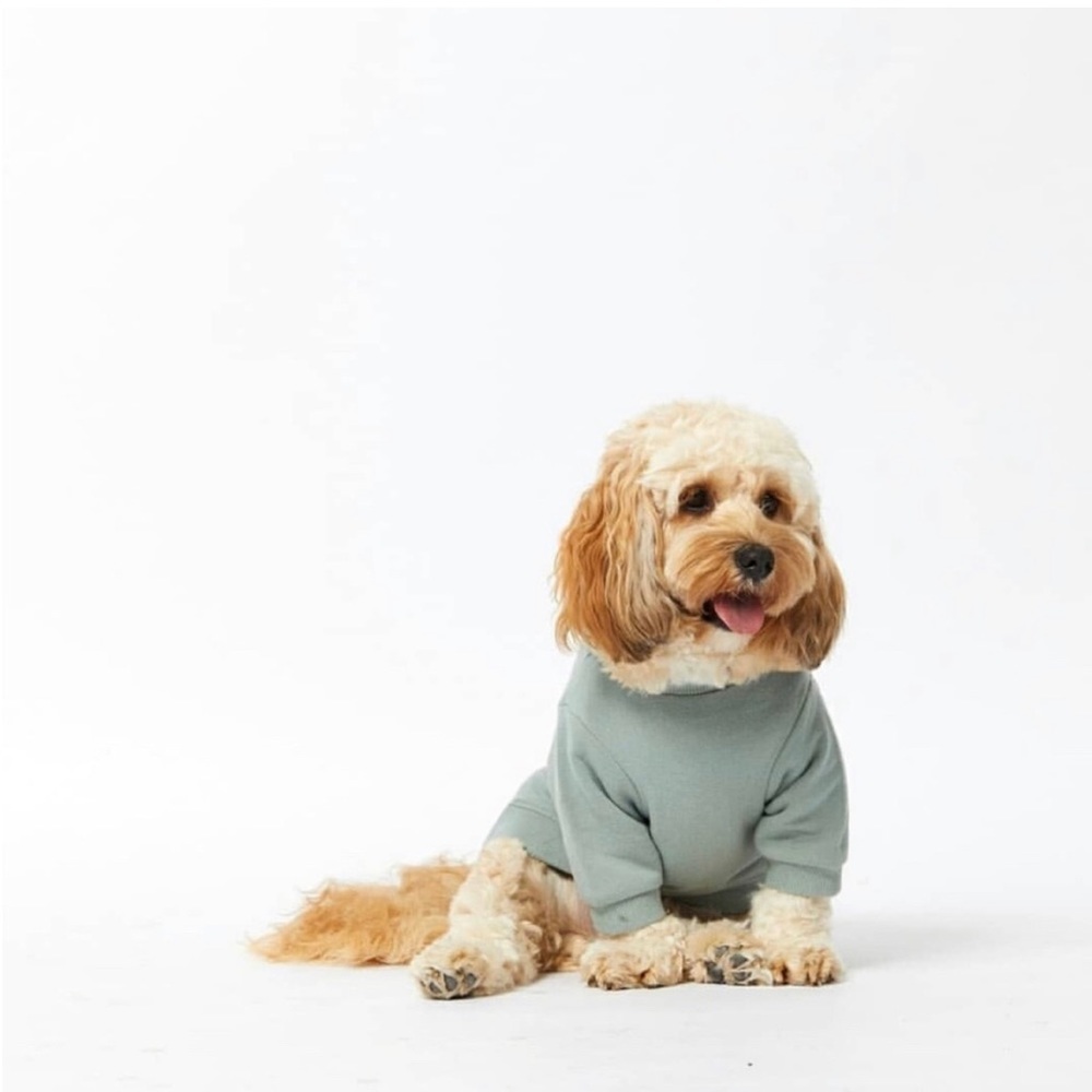 Darren & Phillip Dog Sweatshirt, Green, Size XXXS